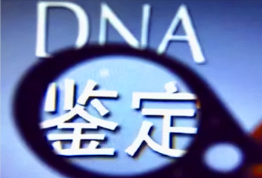 哈尔滨哪个医院可以做DNA亲子鉴定,