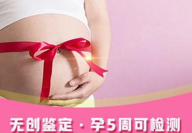 哈尔滨怀孕了怎么做亲子鉴定,哈尔滨办理产前亲子鉴定的流程