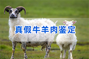 哈尔滨羊类动物鉴定